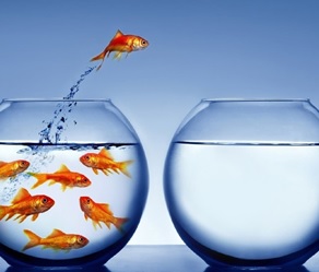 6-atitudes-para-se-adaptar-ao-mercado-de-trabalho-do-futuro-televendas-cobranca