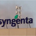 Syngenta oferece R$ 800 milhões de crédito rural, invertendo operações de barter-televendas-cobranca-1