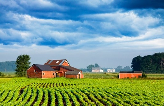 Posso-oferecer-imovel-rural-como-garantia-de-emprestimo-televendas-cobranca-1