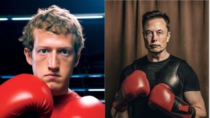 Zuckerberg-versus-musk-como-entender-televendas-cobranca-2